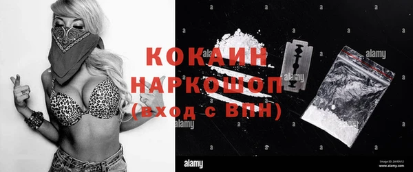 крисы Алексин
