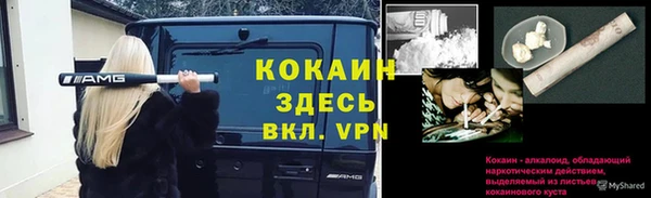 мяу мяу мука Саяногорск