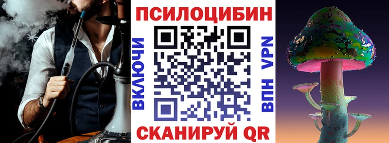 Псилоцибиновые грибы мицелий Клинцы