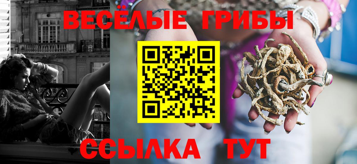 Галлюциногенные грибы Psilocybe  Вход с VPN  Клинцы 