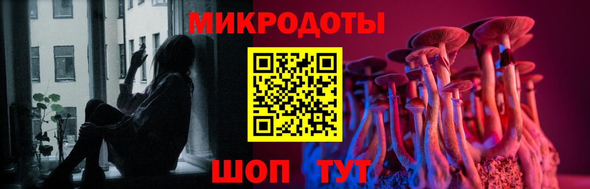 Псилоцибиновые грибы Psilocybe Клинцы